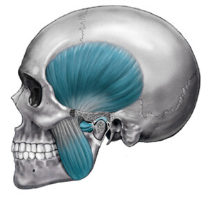 Craniomandibuläre Dysfunktion